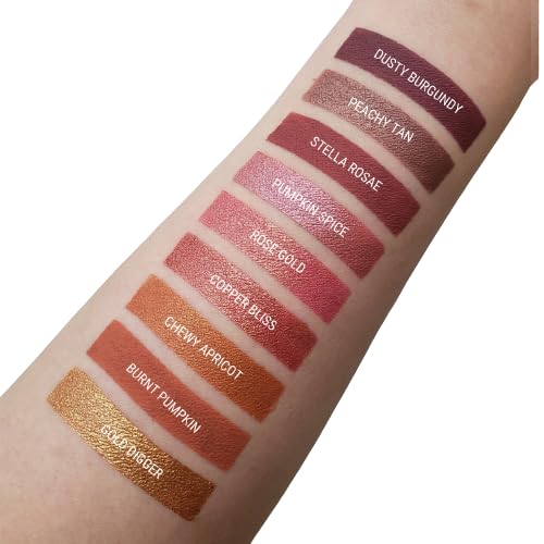 Aromi Dusty Burgundy Matte Liquid Lipstick | Sepia Rose Lip Color, Vegan + Cruelty-free Beauty, Smudge Proof and Long Lasting Makeup (Dusty Burgundy)