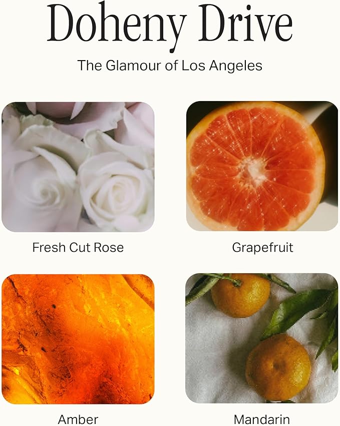 Preston Lane The Deluxe 3-Wick Candle, Scented Candle with Vegan, Soy Wax Blend, Doheny Drive, 24 Oz