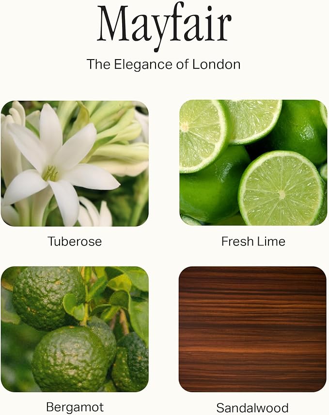 Preston Lane The Deluxe 3-Wick Candle, Scented Candle with Vegan, Soy Wax Blend, Mayfair, 24 Oz