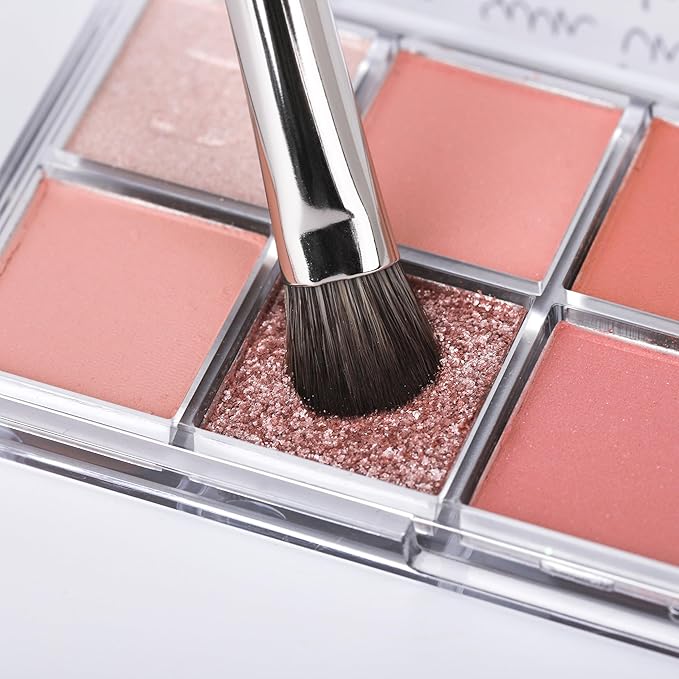 BRUSH ARTIST 12 PCs Black Silver Makeup Brush Set with Cotton Bag, Foundation Sponge, Face Powder Brush, Contour Brush, Blush Brush, Eyeshadow Brush, Eyebrow Brush, Concealer Brush