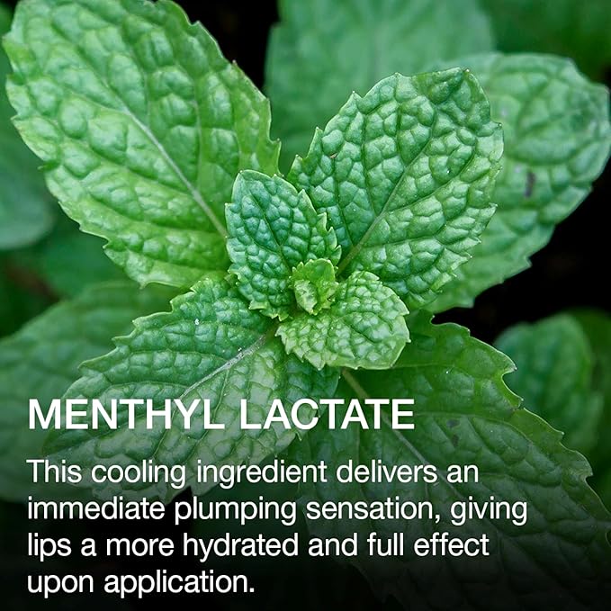 Ogee Beyond Clean Lip Gloss - Certified Organic Lip Gloss for Women - Effortlessly Plump, Hydrate & Add High-Shine Color, Foxglove - Rich Rosy Brown