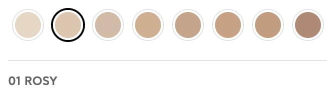 Radiant Professional Natural Fix All Day Matte Cream Foundation - Long Wear High Coverage Face Makeup Foundation With SPF 15 - Oil Free Matte Finish - For All Skin Types-1.01 oz. (01 Rosy)