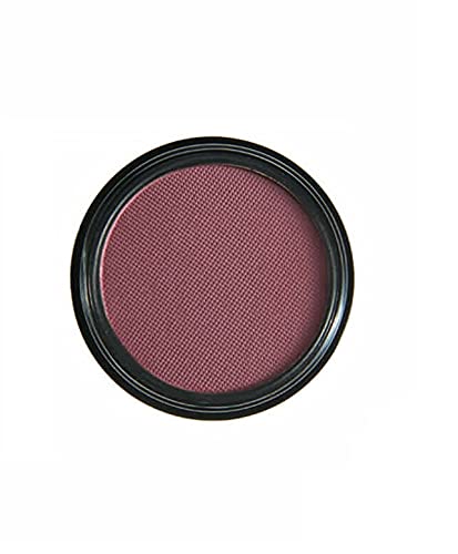 Phoera AQUAPURITY Waterproof Long Lasting Matte Eyeshadow Palette in 12 Pigment Color Face Powder Eye Shadow Cosmetic Cream Makeup Cosmetic (205 Friskie)