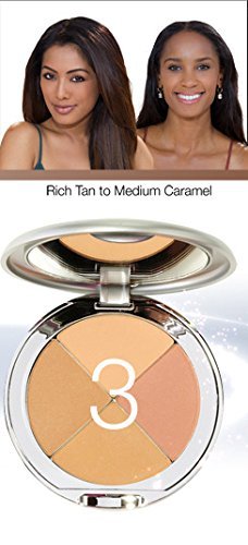 Christina Cosmetics Perfect Pigment 3 Compact and Retractable Brush Duo!