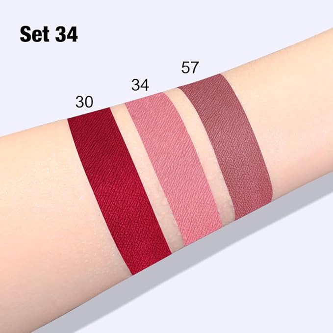 evpct 3Pcs Dark Red Mauve Maroon Matte Liquid Lipstick Lip Stain Sets for Women, Matte Lipstick Long Lasting Waterproof Permanent 24 Hours original, Magic Lip Sticks Pack for Halloween Daily Makeup