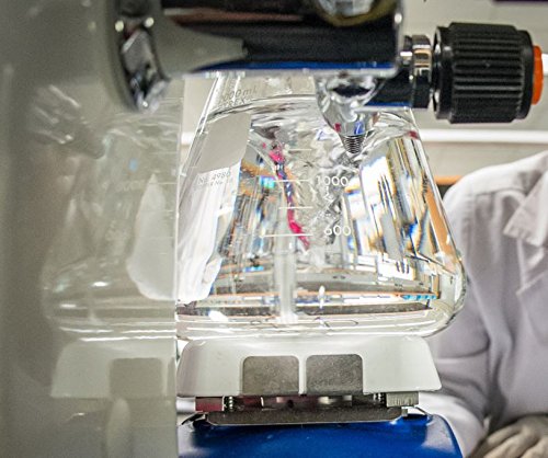 C60 Acne Serum 30ml with Aloe, Rose, MSM, CoQ 10, Vitamins B3 + B5 & Anti Aging Wrinkle Complexes for Men & Women Made with Organic Ingredients