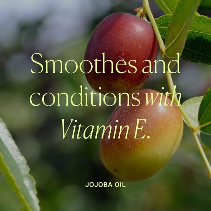 Well People Power Palette Powder Face Trio, Face Powder Makeup Palette For A Sun-kissed Glow, Hydrates Skin, Vegan & Cruelty-free, Empowerment