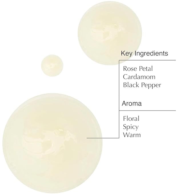 Aesop A Rose By Any Other Name Body Cleanser + Refill | Gentle Body Cleanser with Rose Petal Oil & Skin-Softening Botanicals | 16.9 oz / 500 mL(Pack of 2)