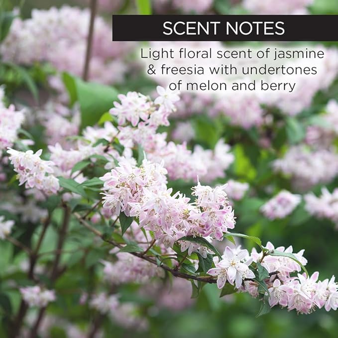 Whish Botanical Primer with Bakuchiol - Minimizes Pores, Wrinkles & Evens Skin Tone With Natural Retinol Alternative - Hydrating Makeup Primer For All Skin Types - Paraben & Sulfate Free - 2 oz