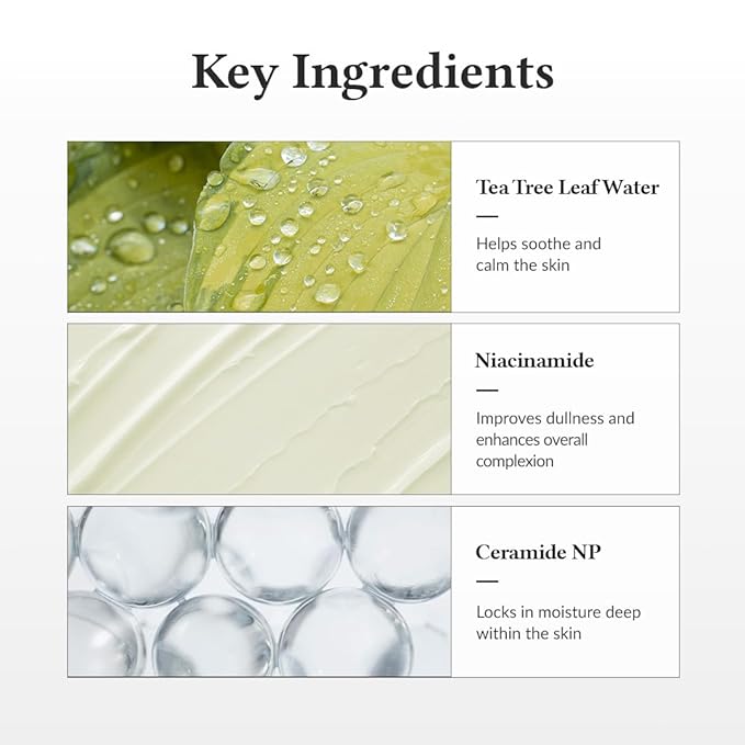 Dr.Althea 345 Relief Cream | Moisturizer for Soothing Recovery and Blemish Care with Tea Tree Leaf Water & Niacinamide | Korean Vegan Skin Care for All Skin Types, 1.69 Fl Oz (Ver.2 - Pack of 1)