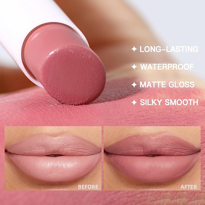 USHAS Lipstick and Lip Liner Combo Set 2 in 1 Waterproof Matte Lipstick pen for Women Lip liner Set Long Lasting with Makeup Set (S12, Pack of 1)