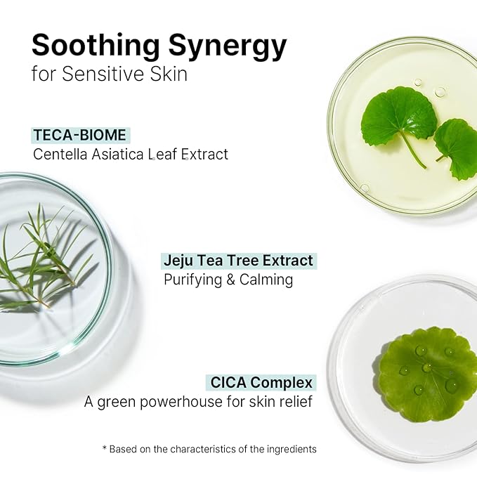 AVCA Quick Calming Cica Tea Tree Serum 100ml(3.38 fl. oz) – Niacinamide & Panthenol, Soothing for Redness and Blemish-Prone Sensitive Skin, Oil-Balancing K-Beauty