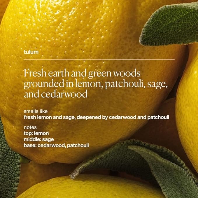 evolvetogether Aluminum Free Natural Deodorant for Women & Men | Lemon, Sage & Patchouli | Neutralizes Odors, Soothes Skin | Vegan, Cruelty-Free, Baking Soda Free | Made in USA (Tulum, 1.69 Oz)