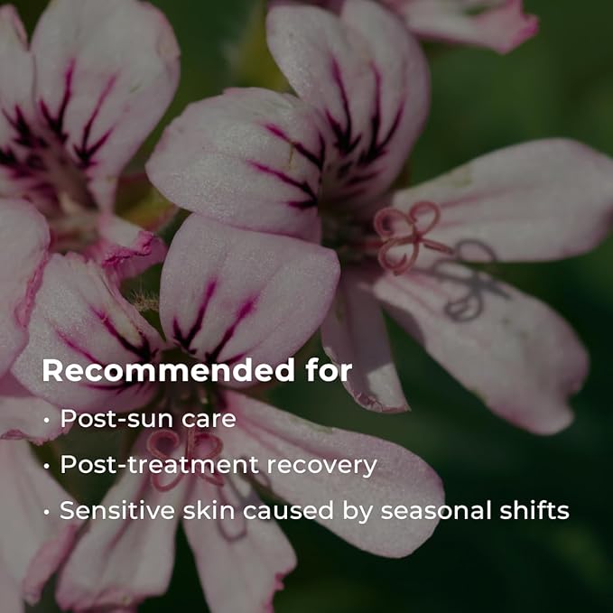 INNA ORGANIC Sheet Mask - After Sun & Self Love, EWG & COSMOS Certified (Pack of 5) | Rose Geranium Essential Oils Infused Skin Care | Luxury Clean Beauty