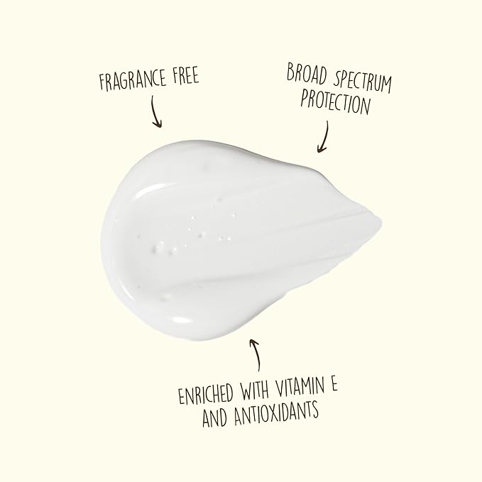 Sun Bum Original SPF 50 Sunscreen Face Lotion - Broad Spectrum Moisturizing Facial Sunscreen with Vitamin E -Fragrance Free - Travel Friendly - 3 oz