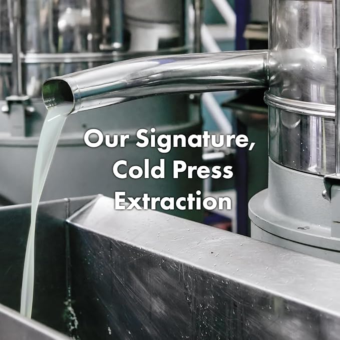 RATED GREEN Real Shea Protein Recharge Leave-in Treatment, 5.07 fl oz - Organic Shea Butter Deep Conditioning Hair Mask Treatment for Dry, Frizzy, Damaged Hair