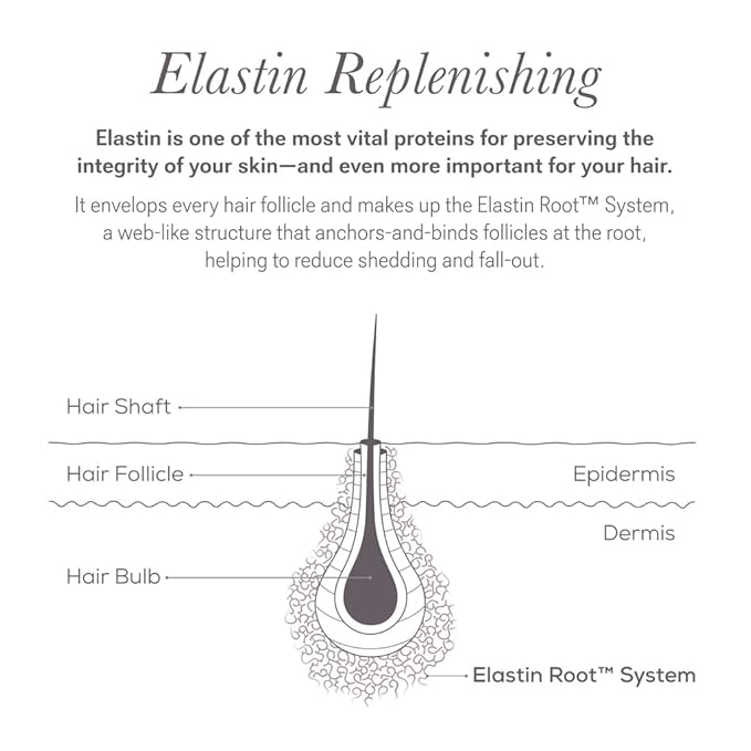 NULASTIN Eyelash Serum & Brow Serum - Lash & Brow Dual System - Eyebrow & Eyelash Enhancing Serums with Keratin & Peptides for Fuller Looking Lashes & Brows (2 Count, 0.1 Fl Oz Each)