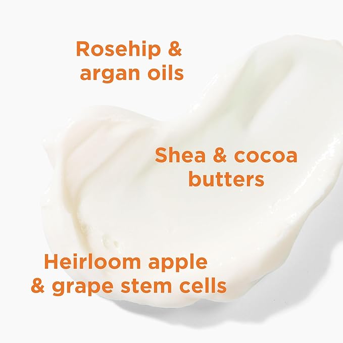 Andalou Naturals Vitalizing Body Lotion Mandarin Vanilla - Hydrating Daily Moisturizer to Nourish Dry Skin - With Shea Butter, Cocoa Butter, Rose Hip Oil, Argan Oil, & Aloe Vera - 8 fl oz