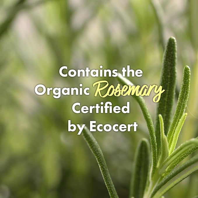 RATED GREEN Real Mary Purifying Scalp Scaler | Organic Cold Brewed Sea Salt | Deep Cleanse for Itchy & Flaky Scalp | Korean Hair Care | 6.76 fl oz