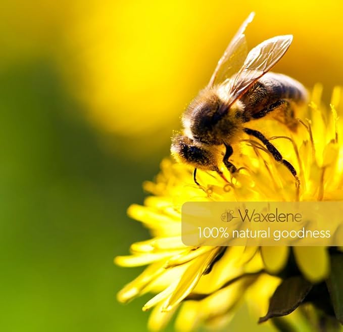 Waxelene Original Aerated Lip Balm Tin 4pc, Best Lip Balm Ever Organic Multipurpose Ointment Baby Eczema Dry Sensitive Skin Body Hand Face Moisturizer