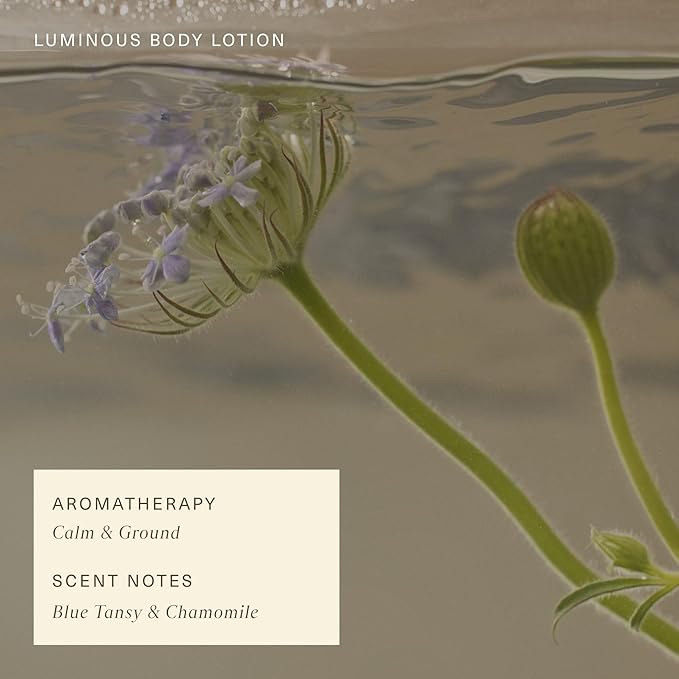 Oak Essentials Luminous Body Lotion | Hydrating Blue Tansy Body Lotion with Rose Oil, Turmeric, Shea Butter and Coconut Oil, 10.1 Fl Oz