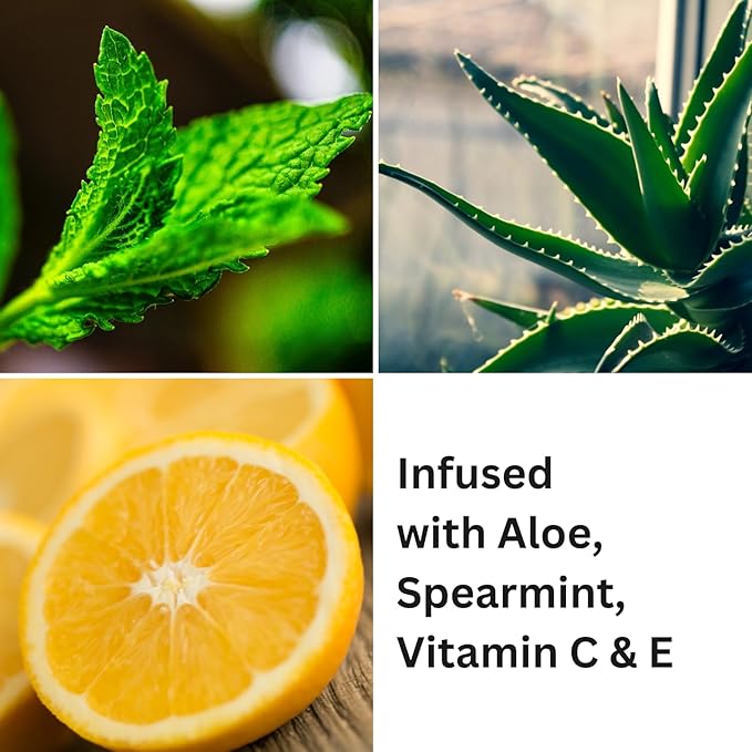 Plump & Shine Lip Duo Set - Plum Island Lip Gloss (.25oz) and Lip Plumper Southie Pout (.25oz) - Naturally Refreshing Vegan Lip Gloss