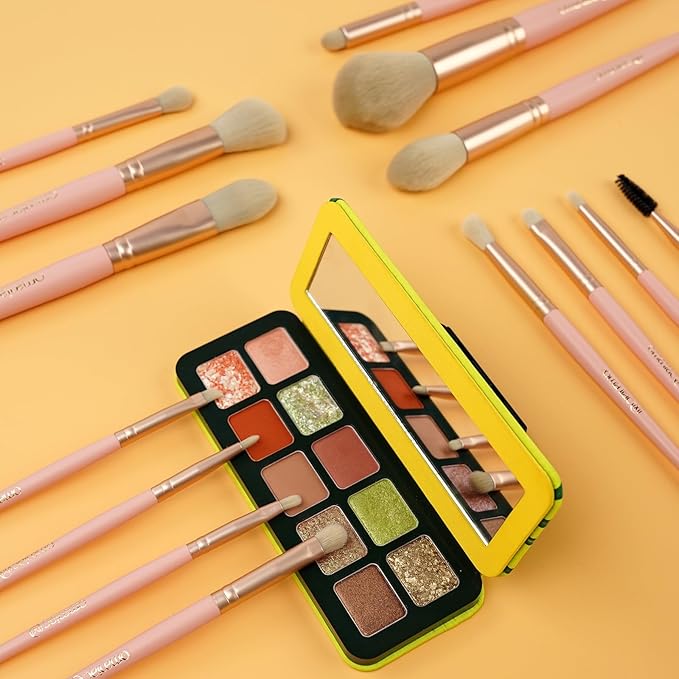 OMANIAC Makeup Brush Set 20Pcs with Storage Case.Used for Powder,Foundation,Highlight,Eye Shadow,Concealer,etc.Suitable for Makeup Beginners,Best Gift for Women/Girls（Pink）