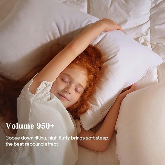 BHZ Goose Down Feather Standard/Queen Pillow, Luxury Hotel Collection Bed Pillow for Sleeping, Firm Soft Support for Side & Back Sleepers for Apartment College Dorm Room Essentials, White