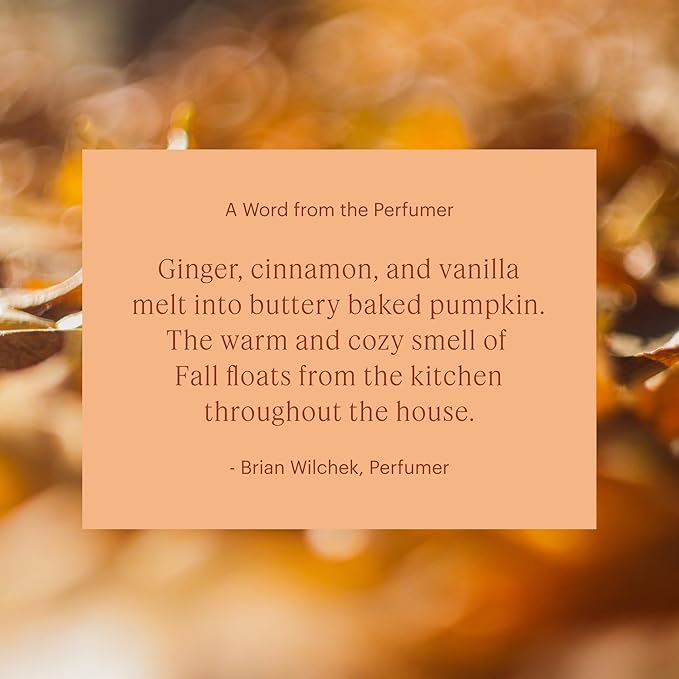 Aera Pumpkin Spice Home Fragrance Scent Refill - Notes of Pumpkin, Clove and Vanilla - Works with The Aera Diffuser - Limited Edition