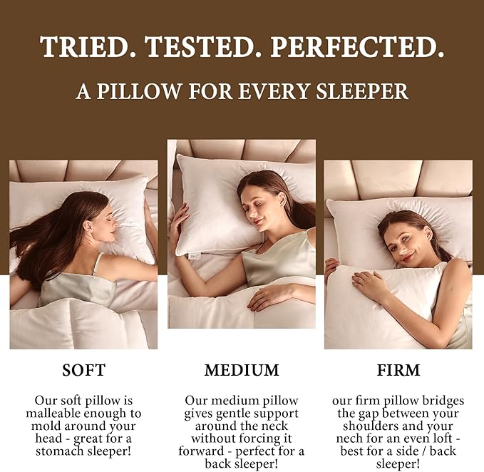 BHZ Goose Down Feather Pillows Queen Size Set of 2, Hotel Collection Bed Pillows for Sleeping Medium Firm Soft Support Pillow for Side and Back Sleepers with 100% Cotton Fabric