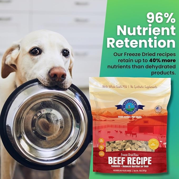 Freeze Dried Raw Dog Food, Beef Recipe, All Natural, No Synthetics, Made in USA with Goat's Milk & Organic Produce, High Protein, Complete Meal (48oz)
