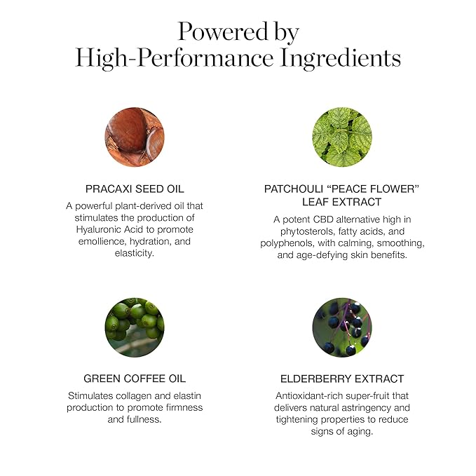 Ogee Sculpted Complexion Foundation Stick (Cedar 1.20C - Fair, Pink-Beige Undertones) Full Coverage Foundation Makeup - Instantly Balance & Even Complexion - 70% Organic Ingredients