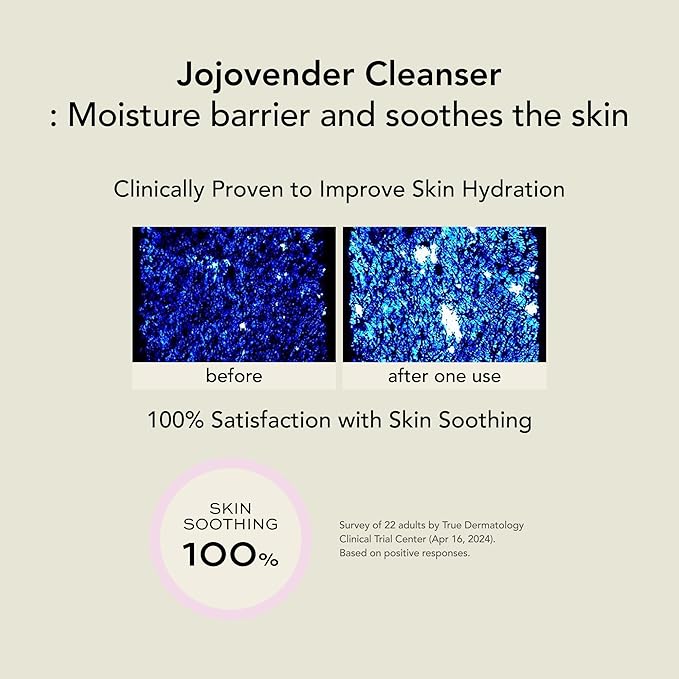 WHIPPED Cream Facial Cleanser Jojovender - Jojoba & Lavender Face Wash - For Redness, Dry Sensitive Skin - Moisturizing Cleanser, Niacinamide, Hyaluronic Acid, Vegan Korean Skincare, 4.5 oz