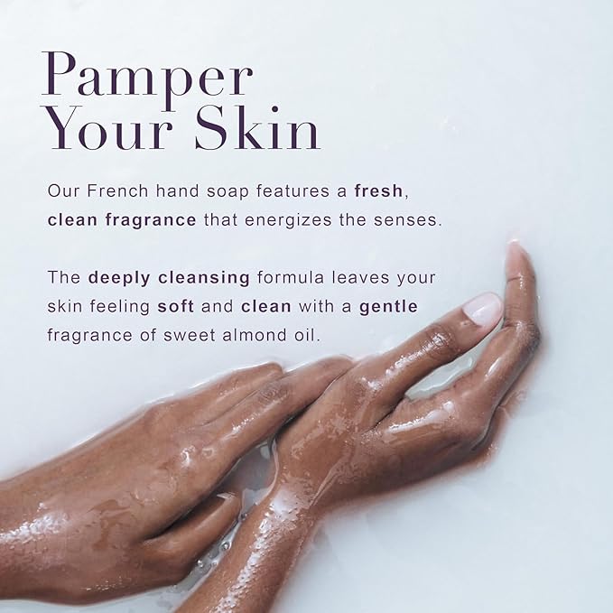 A LA MAISON French Liquid Hand Soap RefilL - Natural Hand Wash Made with Essential Oils - Biodegradable, Plant-Based, Vegan, Cruelty-Free (33.8 Fl Oz Pouch, 2 Pack, Provence Lemon)