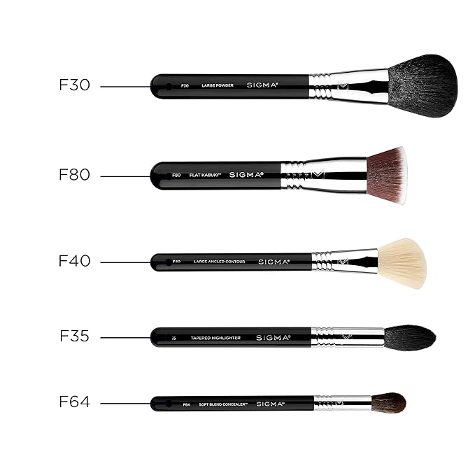 Sigma Beauty Makeup Brush Set – Set of 5 Classic Makeup Brushes for Full Face, Professional Makeup Brushes for Foundation, Concealer, Blush/Powder, Contour, and Highlight (5 pcs)