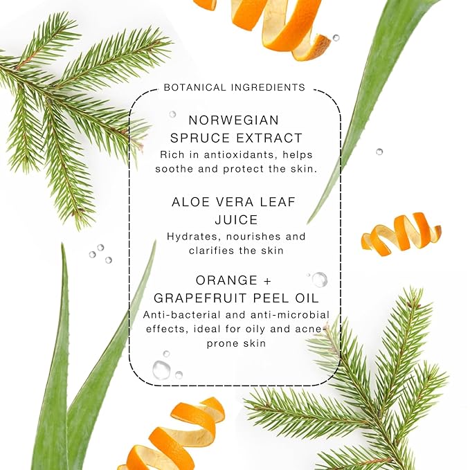 biba de sousa The Daily Moisturizer- Essential Hydration for All Skin Types - Non-comedogenic & Light Formula with Squalane & Vitamin C- Safe for Oily & Acne-Prone Skin (1.7 oz)