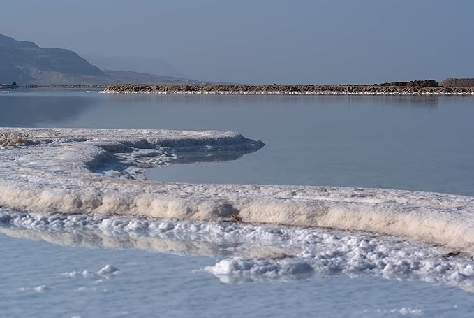 H&B HB Intensive Collagen Night Cream with Dead Sea Minerals – Anti-Aging Night Cream for Women with Aloe, Vitamin C and E & Botanical Oils – Deep Hydrating Facial Moisturizer 50ml.