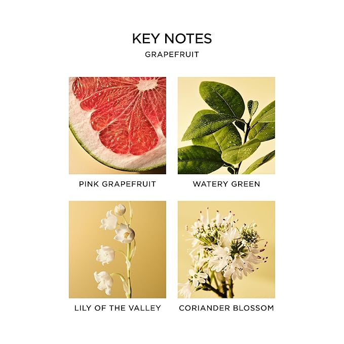 NEST New York Liquid Soap, Grapefruit - 10 fl oz - Cleanses & Nourishes Skin - Approx. 300 Pumps Per Bottle - Gluten Free & Cruelty Free