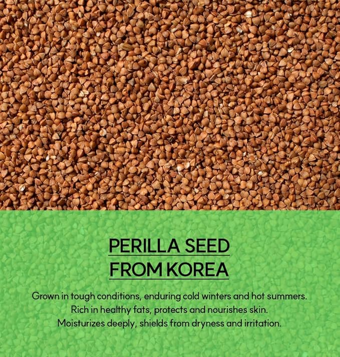 FLAWLESS TODAY Pore Refining Face Mask | Korean Skincare for Oily, Acne-Prone & Textured Skin | Charcoal & Perilla for Pore Tightening | 120ml 4.05fl.oz