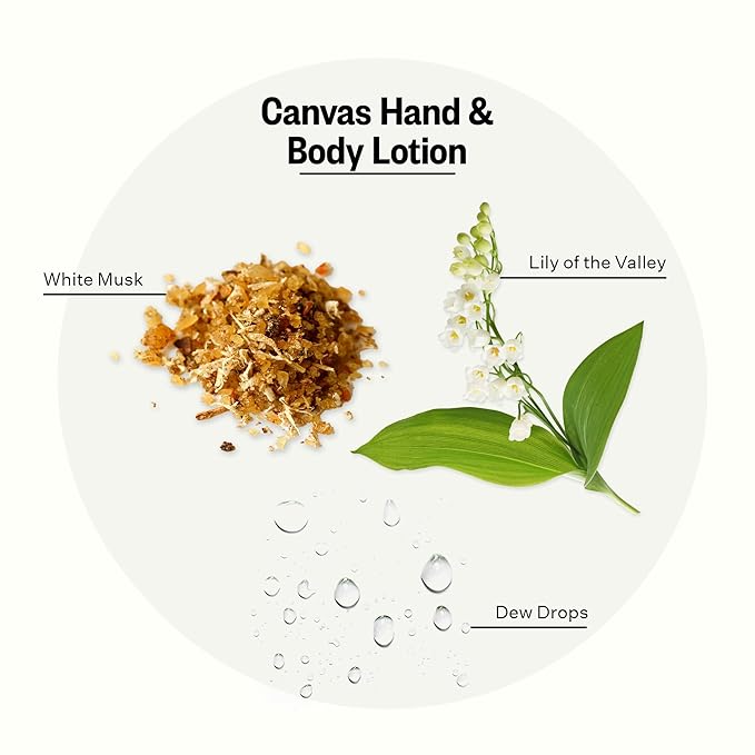 APOTHEKE Scented Hand & Body Lotion, Canvas - 10 Fl Oz Nourishing Body Moisturizer Cream for Dry Skin - Gentle Daily Skincare for Men & Women with Natural Ingredients, All Skin Types