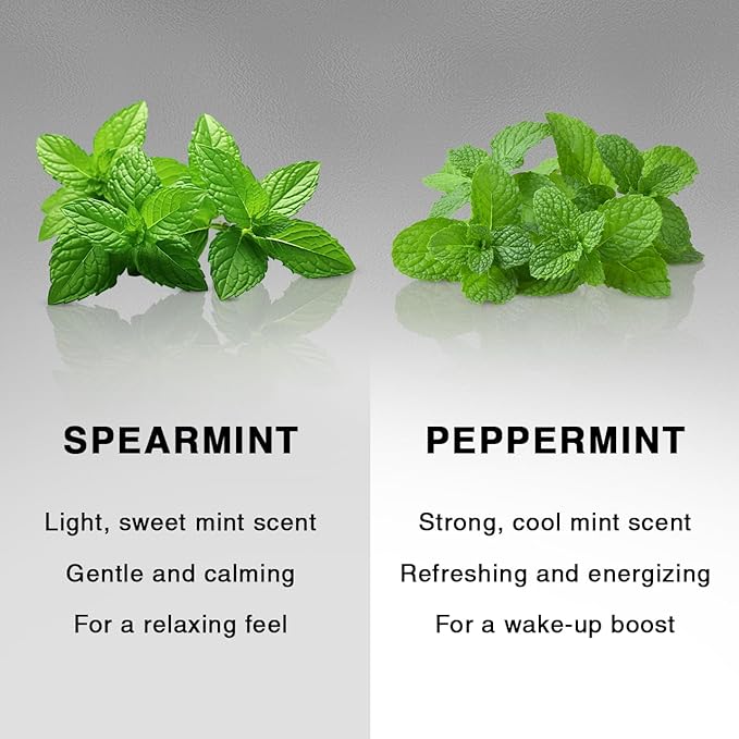 Kitsch Charcoal Soap Body Wash Bar – Detoxifying Bar Soap with Activated Charcoal – Gently Removes Excess Oil & Impurities, Clears Pores, Firms & Moisturizes Skin – Made in USA - 4 oz