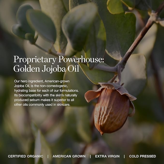 Ogee Complexion Perfecting Liquid Foundation - Lightweight Tinted Moisturizer For Face (Oak 5.25N - Medium Beige, Golden Undertones) - with Vitamin C & Jojoba Oil - Certified Organic & Made in USA