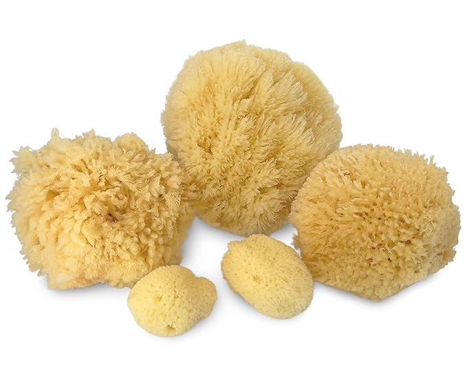 Real Natural Sea Sponges Multipack - 5pc Spa Gift Set in Premium Bag, Kind on Skin, for Bath Shower Facial Cleansing, Pamper Moms Brides Girlfriends & Teens (5 Pack Standard Packaging)