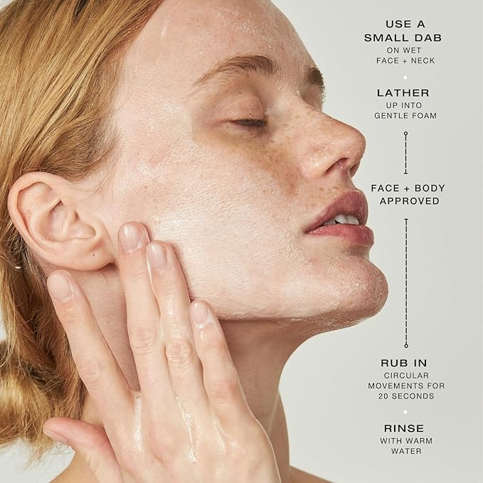 biba de sousa The Daily Cleanser - Face & Body Wash with Exfoliating Beads, For Normal, Oily or Blemished Skin - Illuminates and Refines Skin Surface (8 oz)