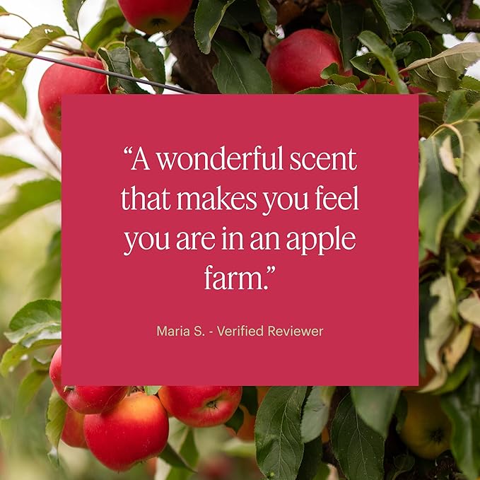 Aera Apple Orchard - Essential Oil for Home - Fruity Crisp Fragrance - Notes of Macintosh Apple and Orchard Leaves - Scent Refill - Works with The Aera Diffuser