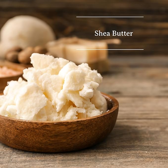 C.O. Bigelow My Favorite Lip Balm Tubes, Pack of 3 Bulk Lip Balm Tubes with Shea Butter & Jojoba Oil, 0.5 oz