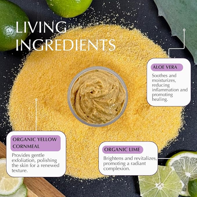 SHIMMER CHEF Honey Lime Polenta Face & Neck Plaster | Mindful Beauty Mask | Refines & Nourishes for Resilient, Radiant Skin | 2.5 oz