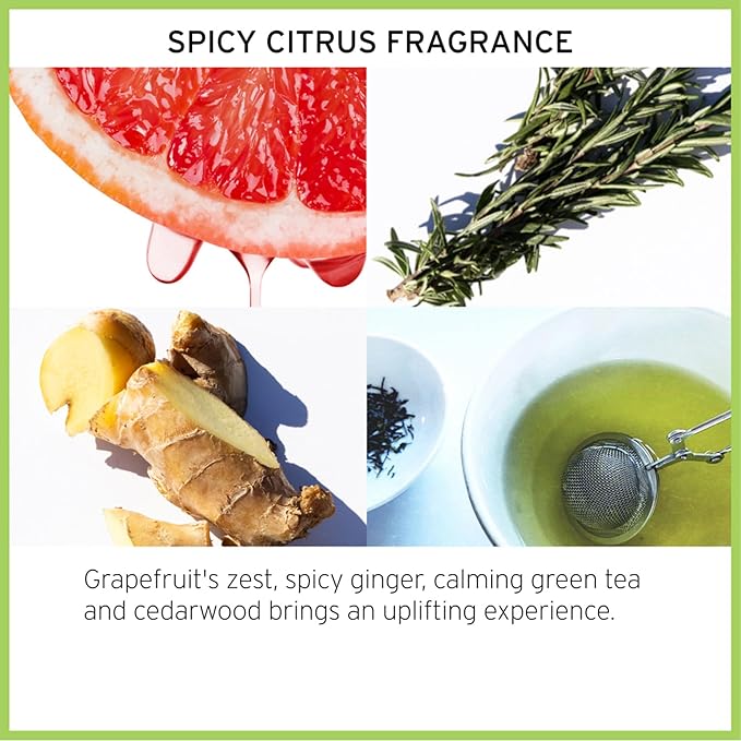 Fekkai The Original Brilliant Glossing Styling Creme - 3.4 oz - Boosts Shine, Smoothes Frizz & Defines Curls with Olive Oil - Free of Sulfates, Parabens, Phthalates - Vegan, Cruelty-Free