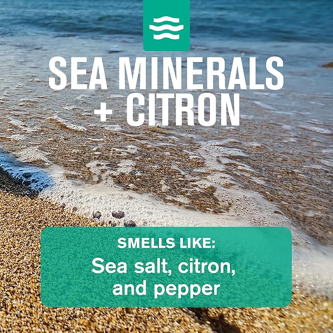 Every Man Jack Men’s Sea Minerals + Citron Bath and Body Gift Set - Clean Ingredients & Sea Minerals and Citron scent - Round Out His Routine with Body Wash, 2-in-1 Shampoo, Deodorant & Face Wash