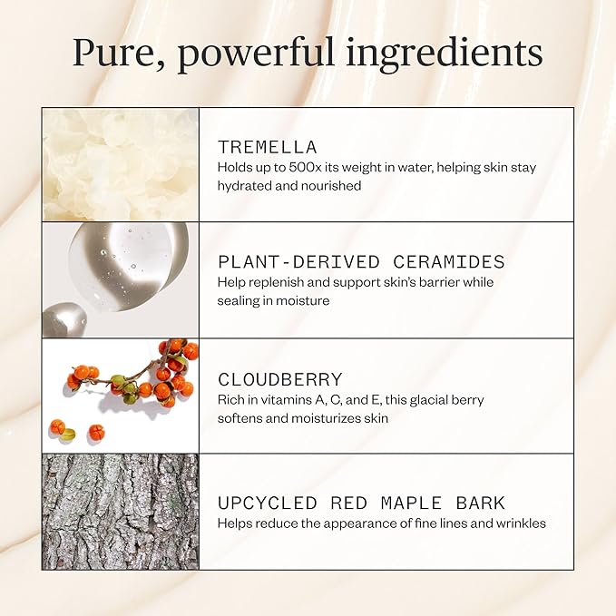 Ursa Major Alpine Rich Cream | Deeply Hydrating & Moisturizing Natural Face Lotion | Supports Skin Barrier and Targets Fine Lines | Vegan, Non-Toxic, Cruelty-Free | 1.69 ounce